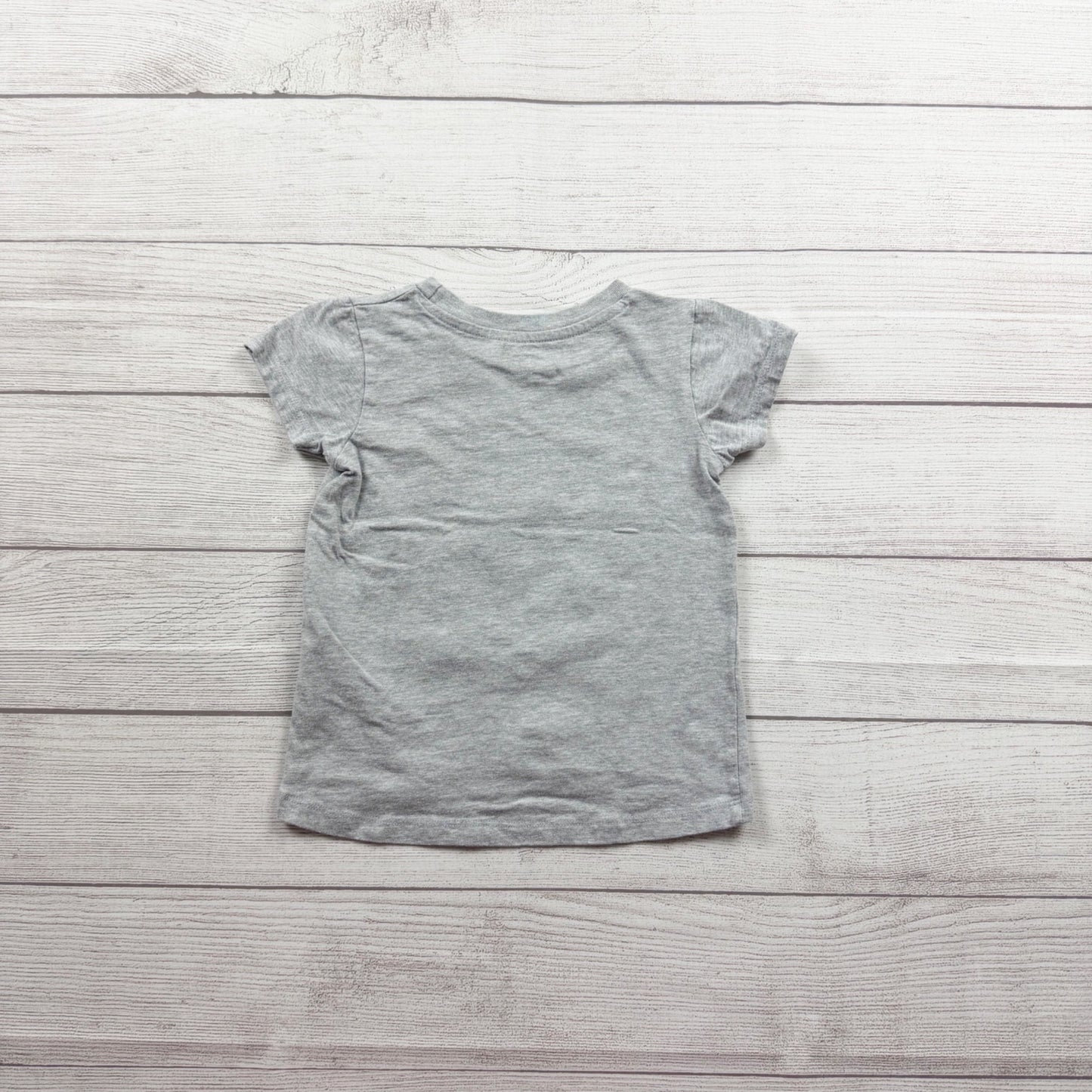 Marvel Spidey and His Amazing Friends Girls Gray Team Amazing T-Shirt Tee 4T