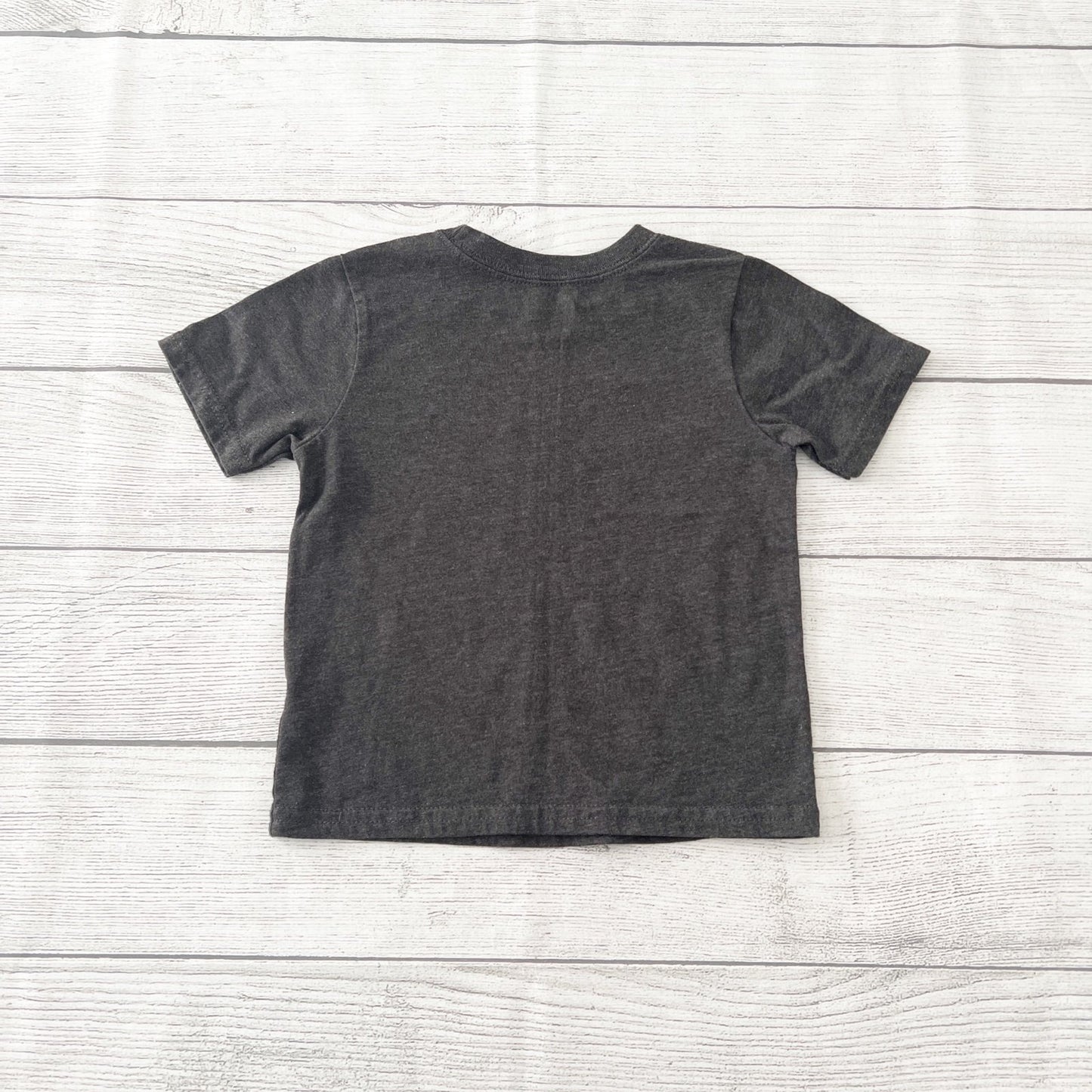Garanimals Toddler Boy Short Sleeve T Shirt Charcoal Gray Basic Tee 2T