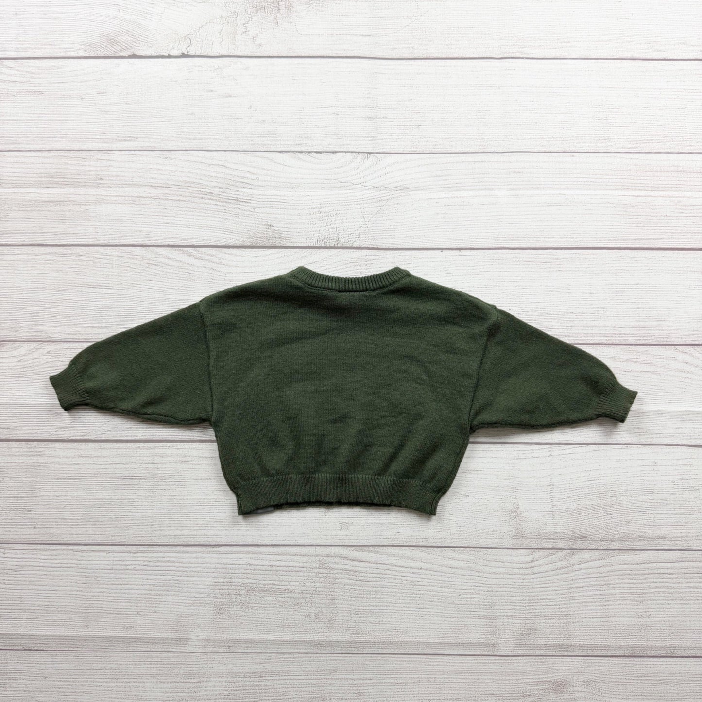 Wicked Universal Destined To Fly Toddler Green Crewneck Sweater 9-12 Months