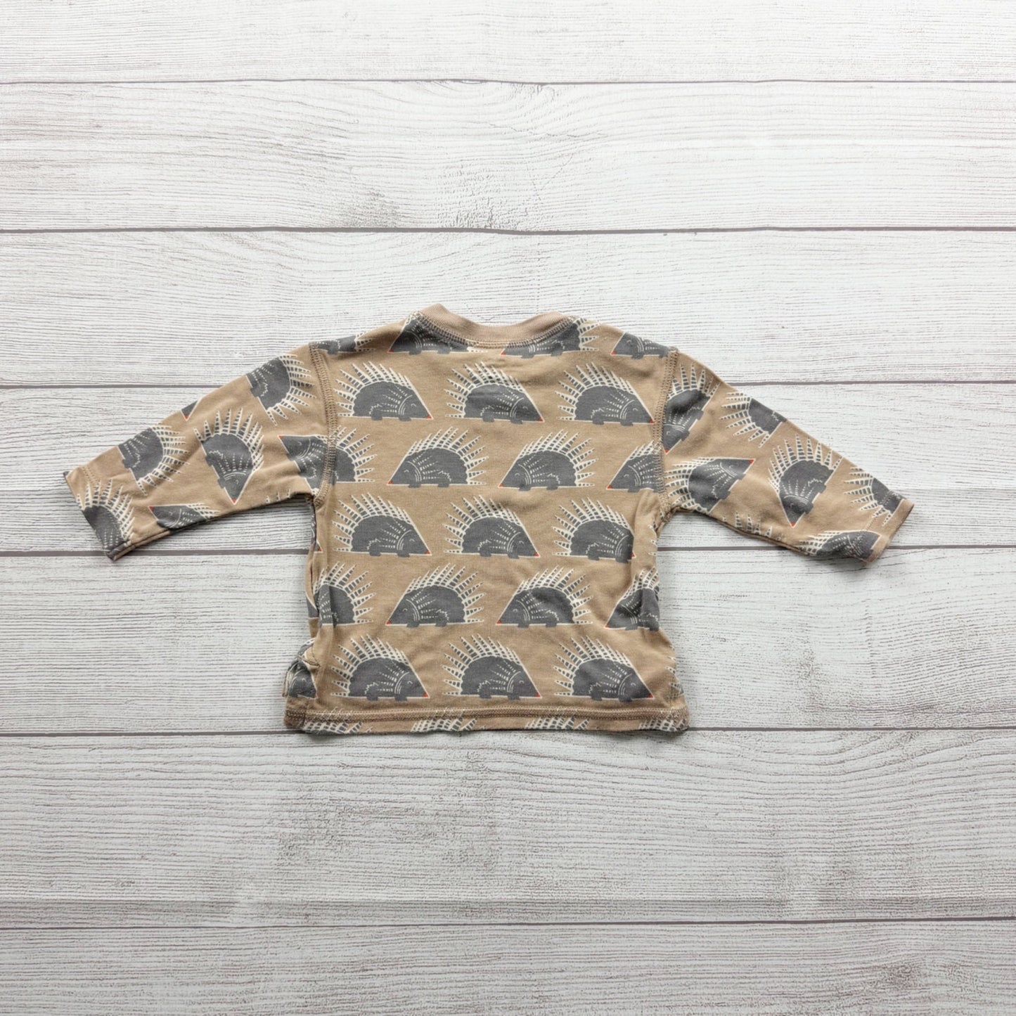 Apple Park Toddler Organic Bamboo-Cotton Top Hedgehog Print Shirt 12-18 Months