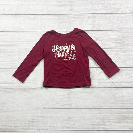 Cat & Jack Toddler Shirt “Happy & Thankful” Long Sleeve Graphic Tee 3T