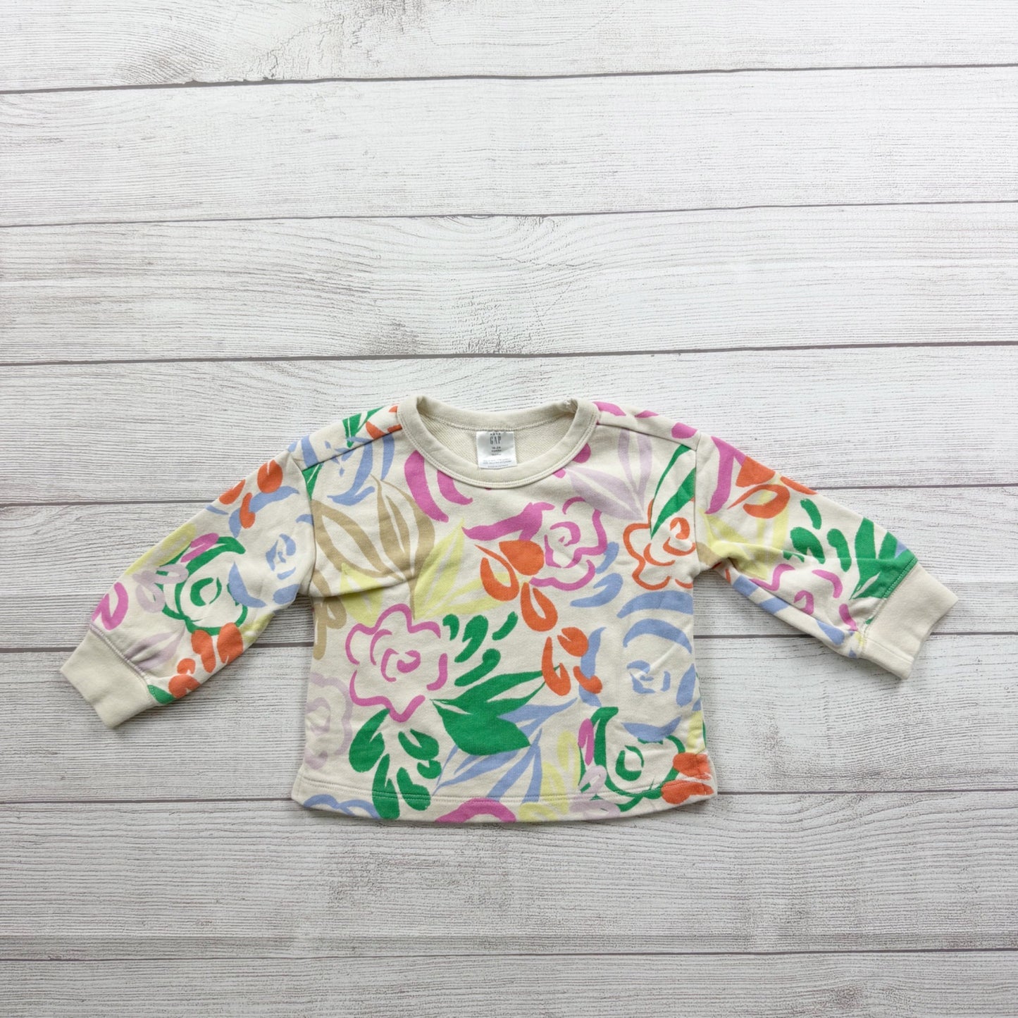 Baby Gap Toddler Sweatshirt Multicolor Floral Print Pullover 18-24 Months