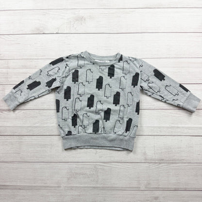 Gardner And The Gang Kids Graphic Sweatshirt Ice Pop Print Grey 4-6 Years Cotton Crewneck