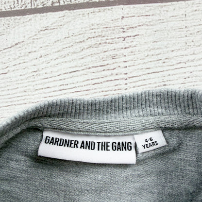 Gardner And The Gang Kids Graphic Sweatshirt Ice Pop Print Grey 4-6 Years Cotton Crewneck