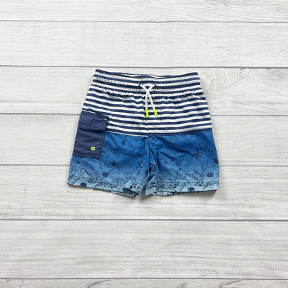 3T | Stripe Swim Shorts
