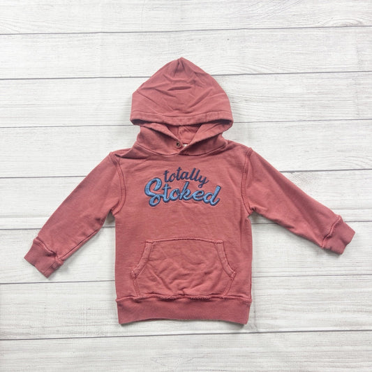 Peek Kids Toddler Hoodie “Totally Stoked” Graphic Pullover Kangaroo Pocket 3T