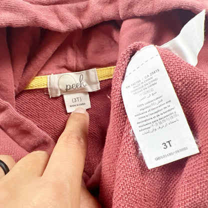 Peek Kids Toddler Hoodie “Totally Stoked” Graphic Pullover Kangaroo Pocket 3T