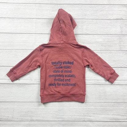 Peek Kids Toddler Hoodie “Totally Stoked” Graphic Pullover Kangaroo Pocket 3T