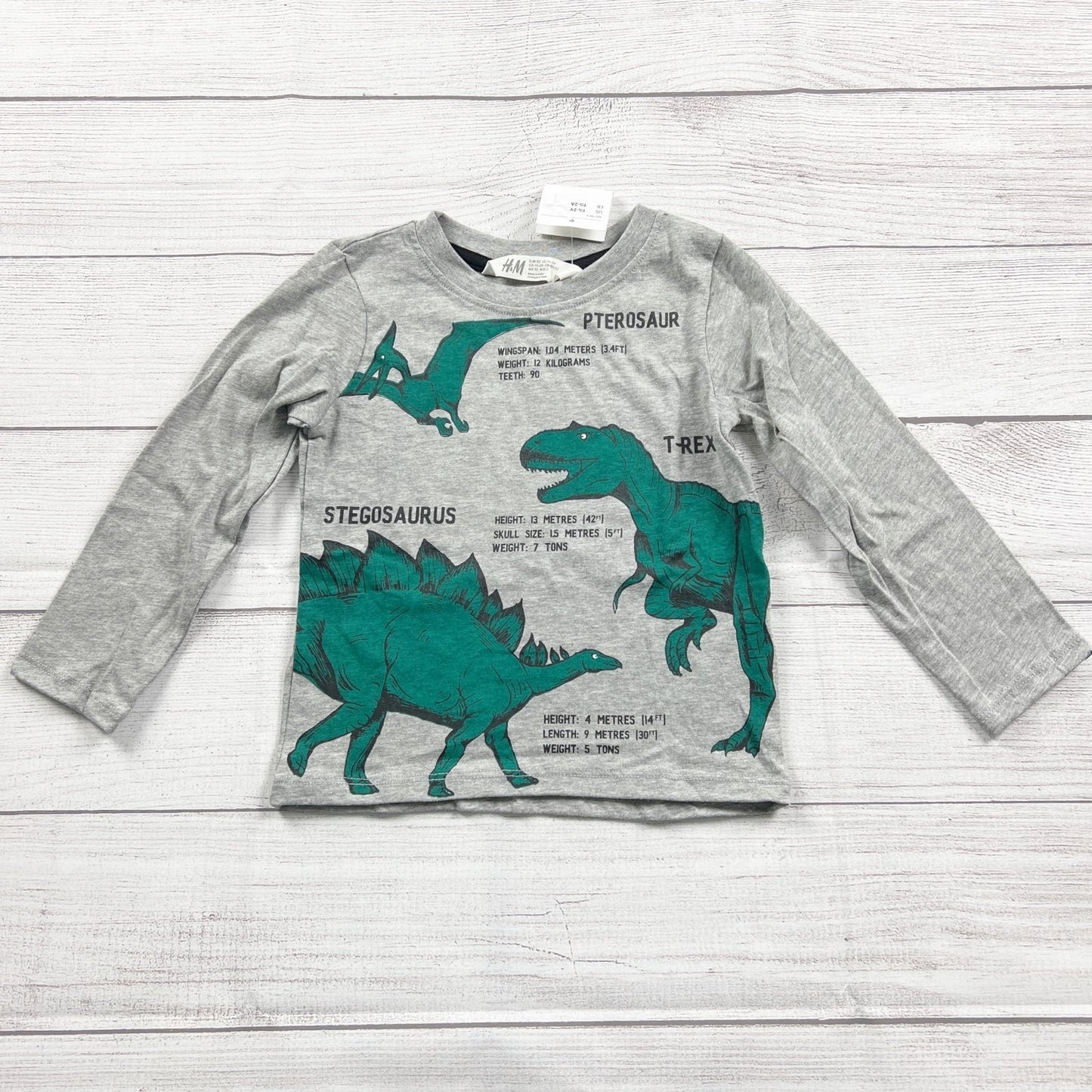 H&M Gray Dinosaur Graphic Long Sleeve Shirt Kids NWT 18-24 Months