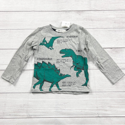 H&M Gray Dinosaur Graphic Long Sleeve Shirt Kids NWT 18-24 Months