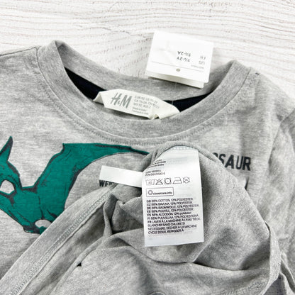 H&M Gray Dinosaur Graphic Long Sleeve Shirt Kids NWT 18-24 Months