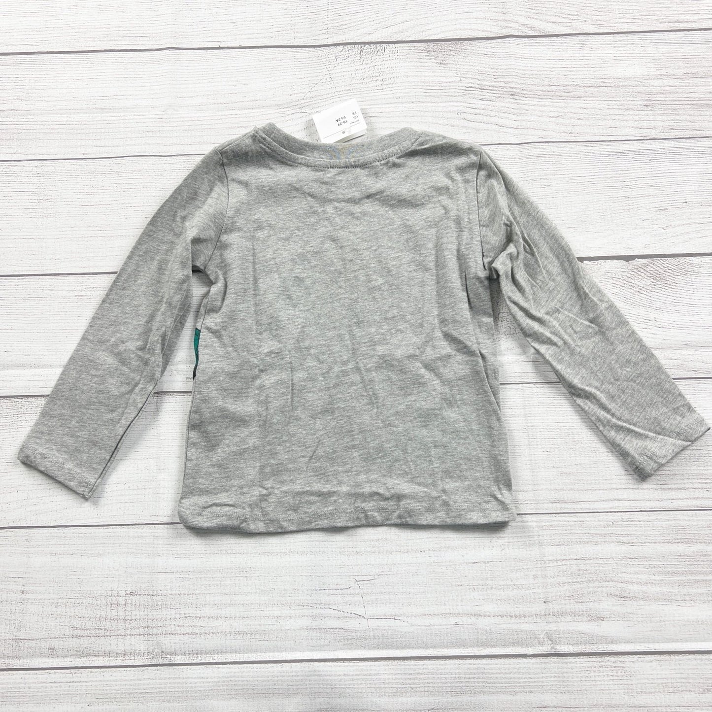 H&M Gray Dinosaur Graphic Long Sleeve Shirt Kids NWT 18-24 Months