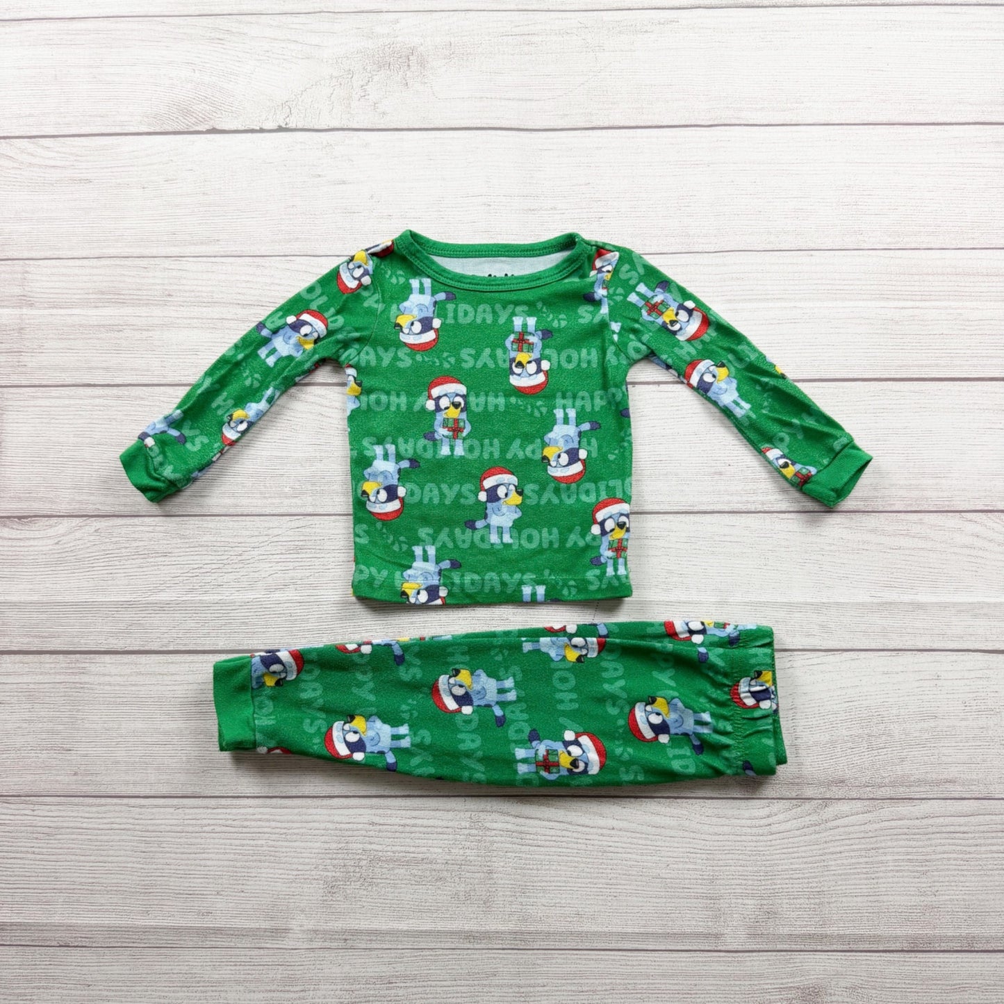 Bluey Green Toddler Holiday Pajama Set Long Sleeve 2 Piece 2T