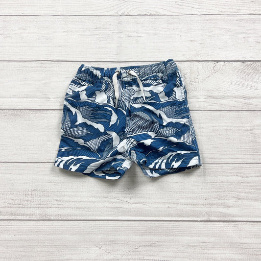 2T | Print Swim Shorts