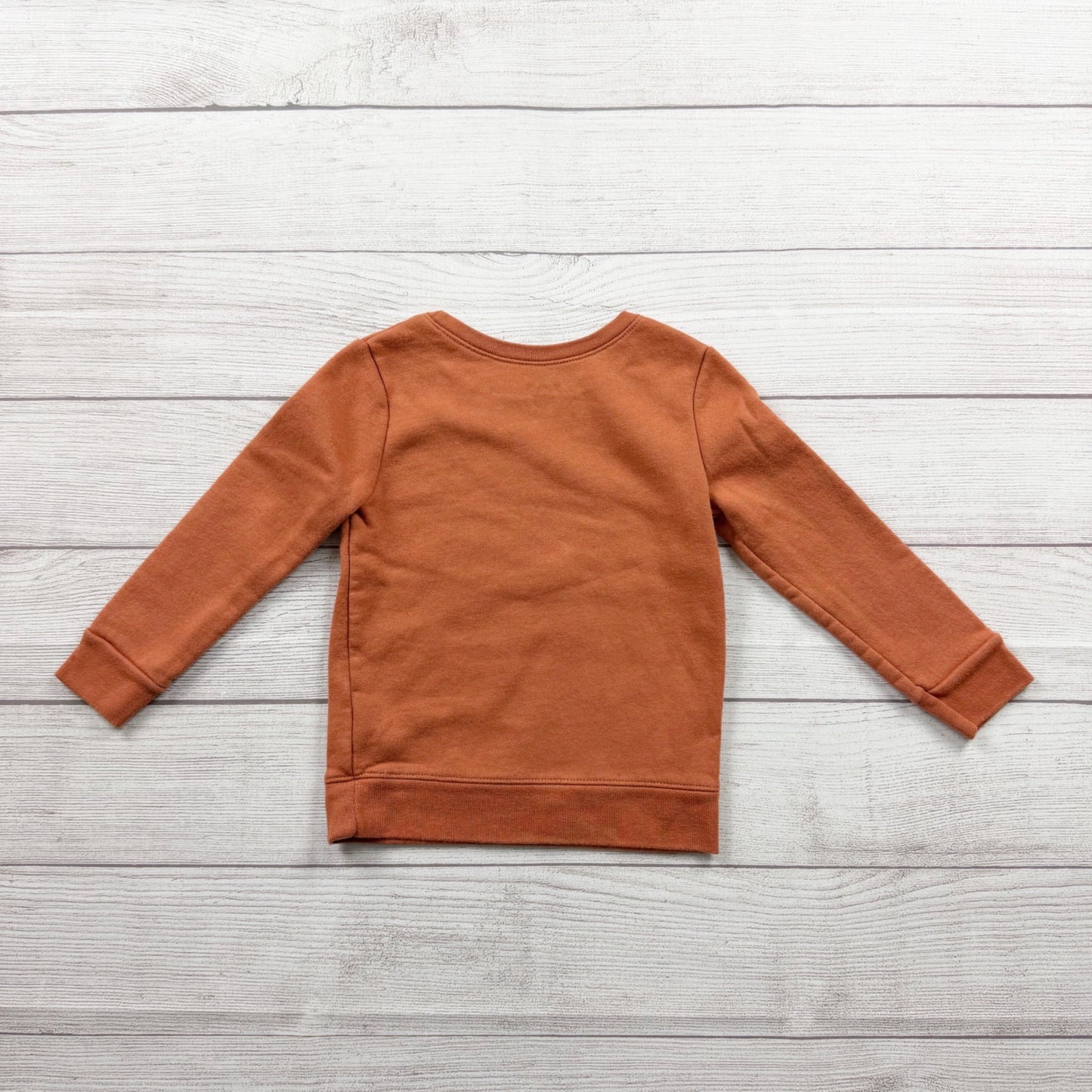 Garanimals Toddler Sweatshirt Fleece Crewneck Pullover Flower Graphic 3T