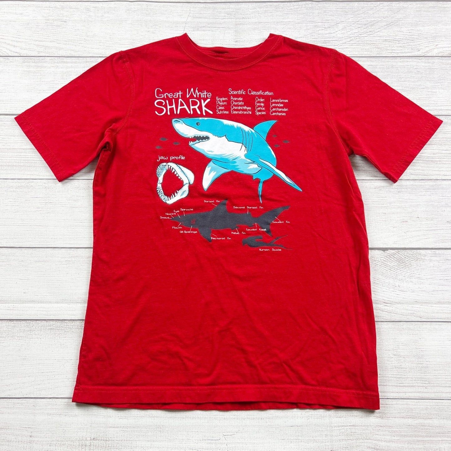 Lands’ End Kids Great White Shark Graphic T-Shirt Tee L 14-16