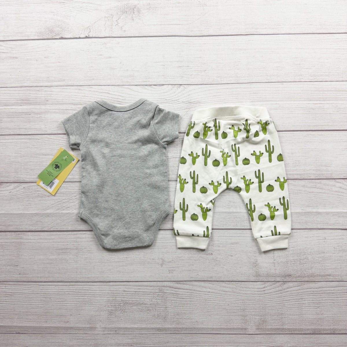 Monica + Andy Cactus Print Organic Cotton Baby Bodysuit Pants Set NWT 0-3 Months