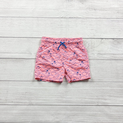 9-12M | Print Swim Shorts