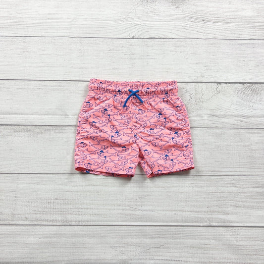 9-12M | Print Swim Shorts