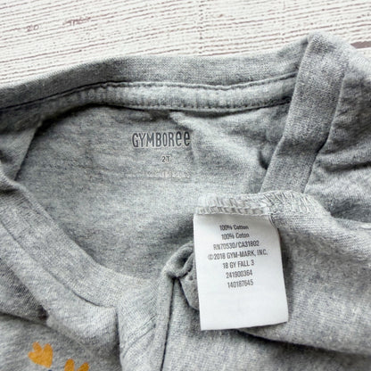 Gymboree Toddler Girls Dinosaur Print Gray Long Sleeve Shirt 2T