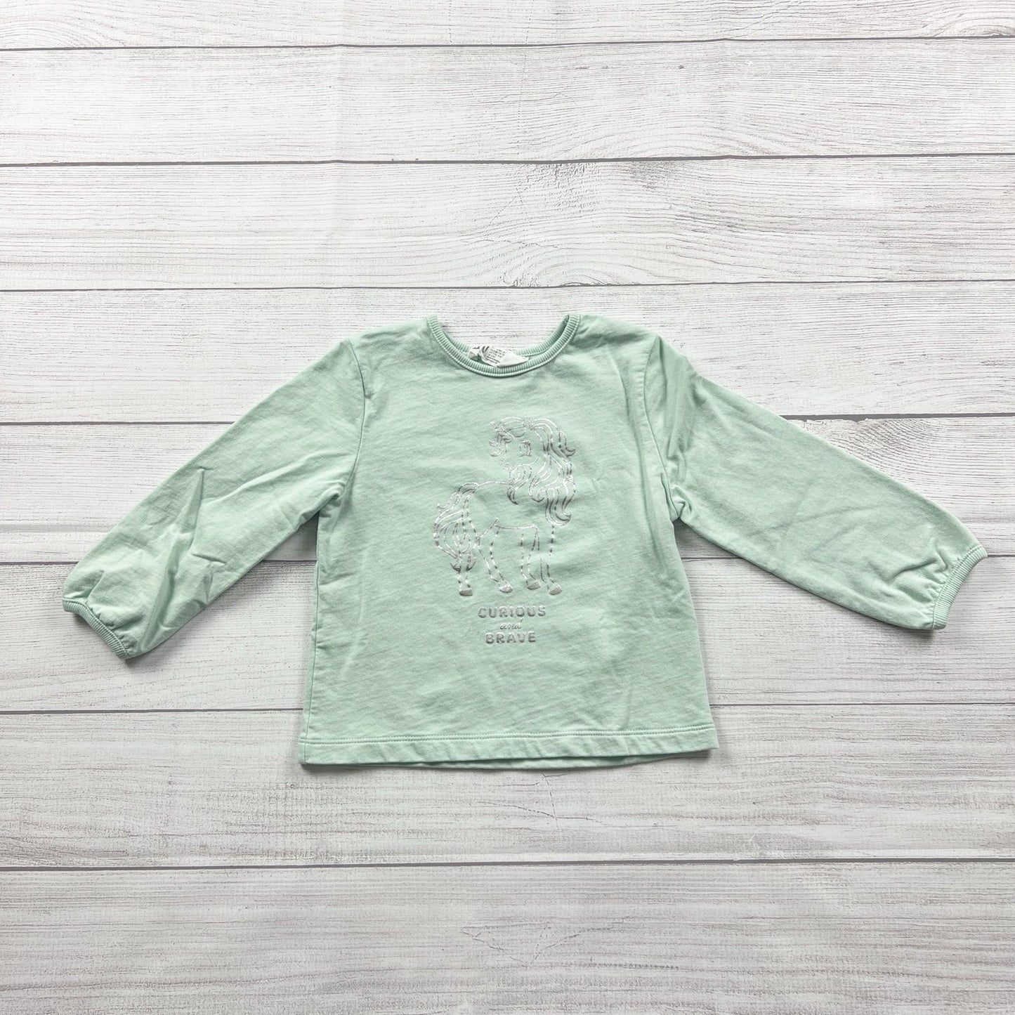 H&M Toddler Girl Long Sleeve Shirt Brave Mint Green Unicorn Graphic 3-4T