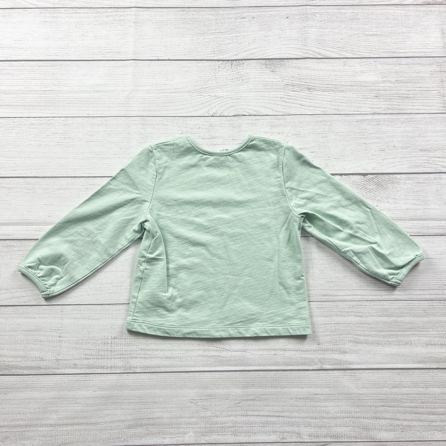 H&M Toddler Girl Long Sleeve Shirt Brave Mint Green Unicorn Graphic 3-4T