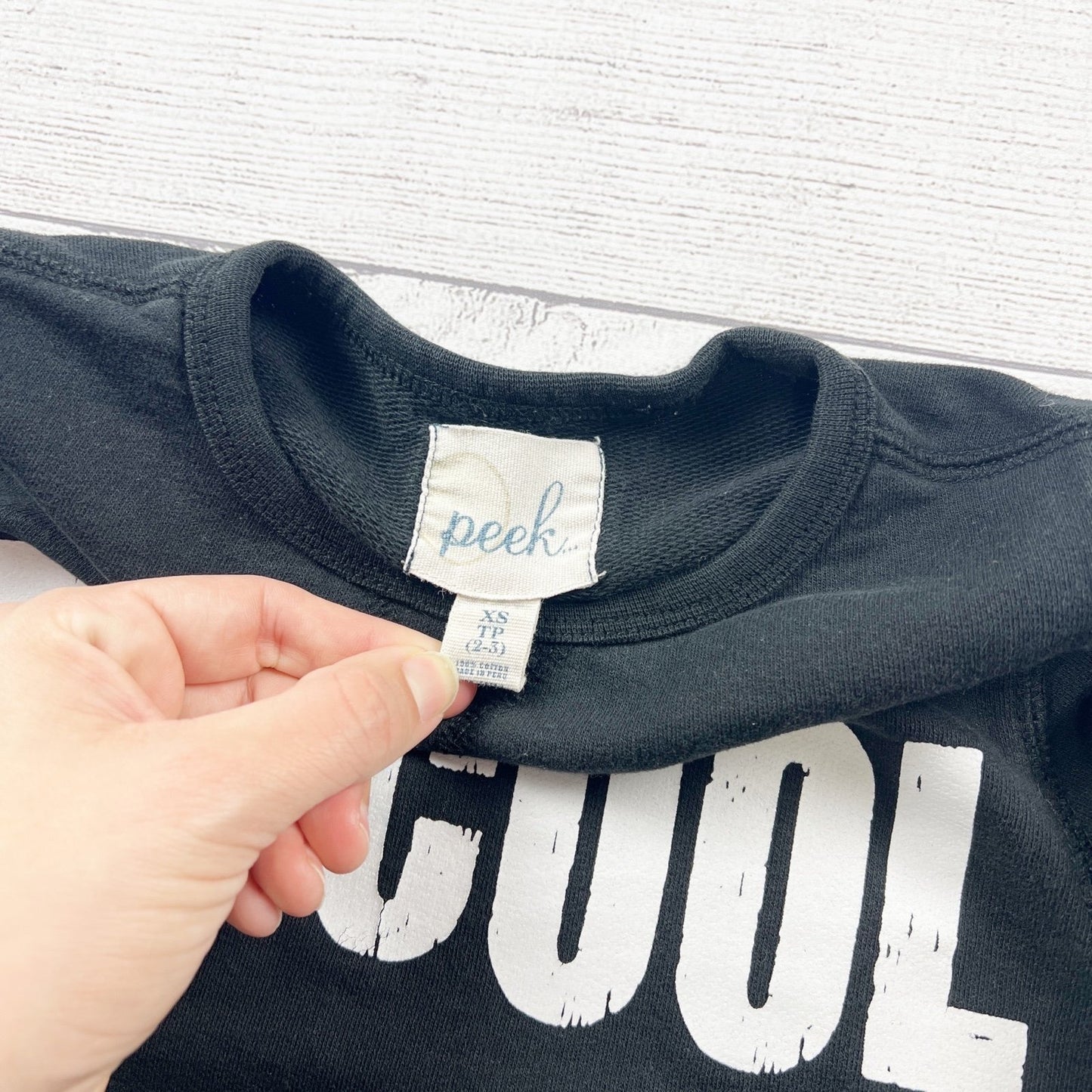 Peek Kids Toddler Sweatshirt “Be Cool” Graphic Pullover Crewneck XS 2-3