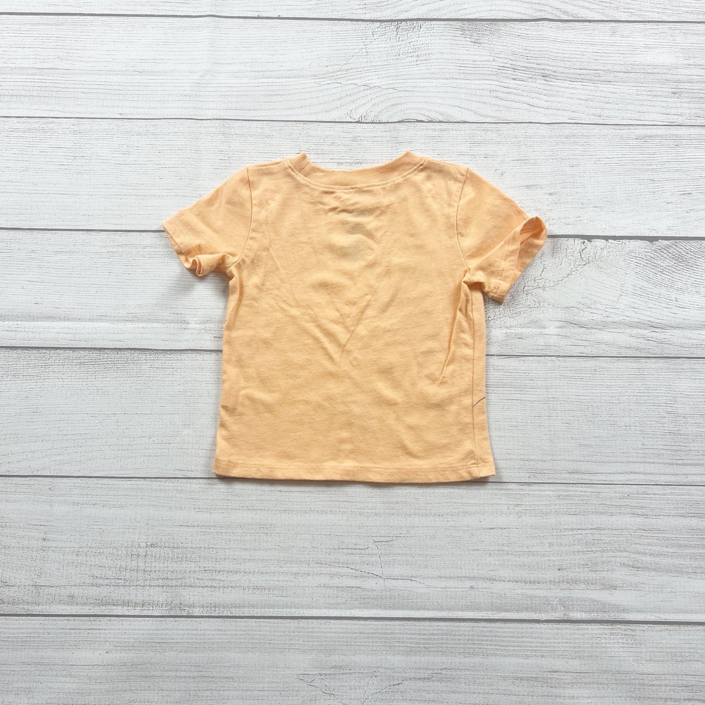 Disney Jumping Beans Baby Boys Mickey Mouse Fun in the Sun T-Shirt 3-6 Months