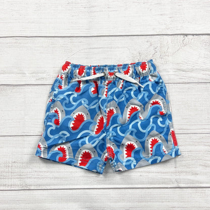 18-24M | Print Swim Shorts