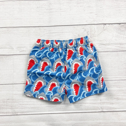 18-24M | Print Swim Shorts