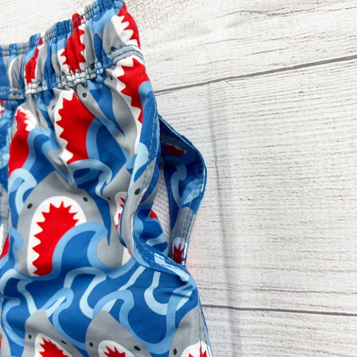 18-24M | Print Swim Shorts