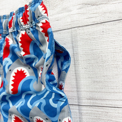 18-24M | Print Swim Shorts
