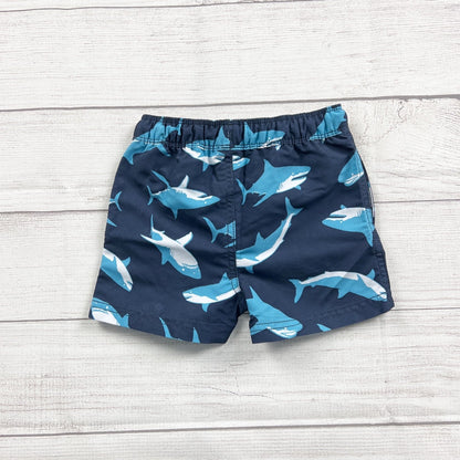 18-24M | Print Swim Shorts