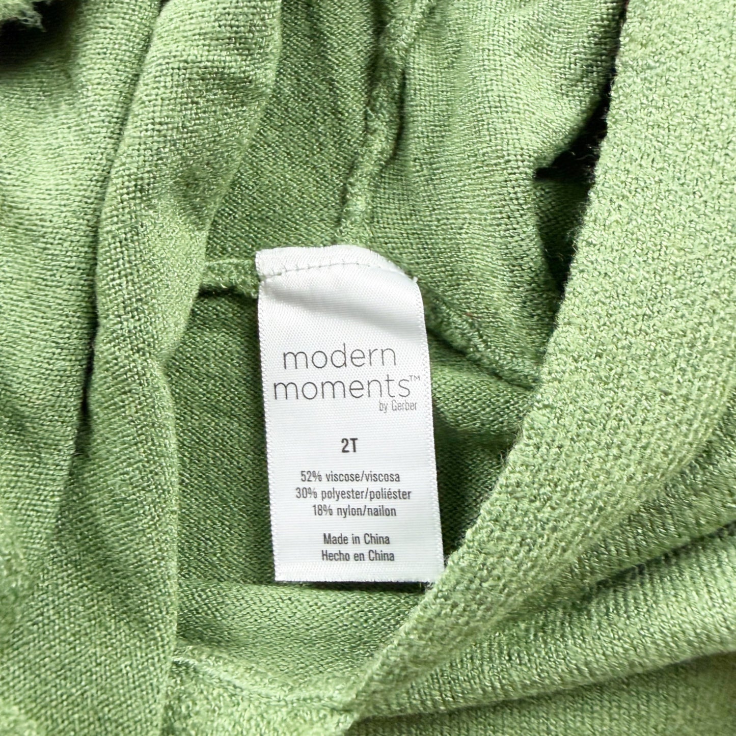 Modern Moments Gerber Hooded Long Sleeve Green Sweatshirt 2T