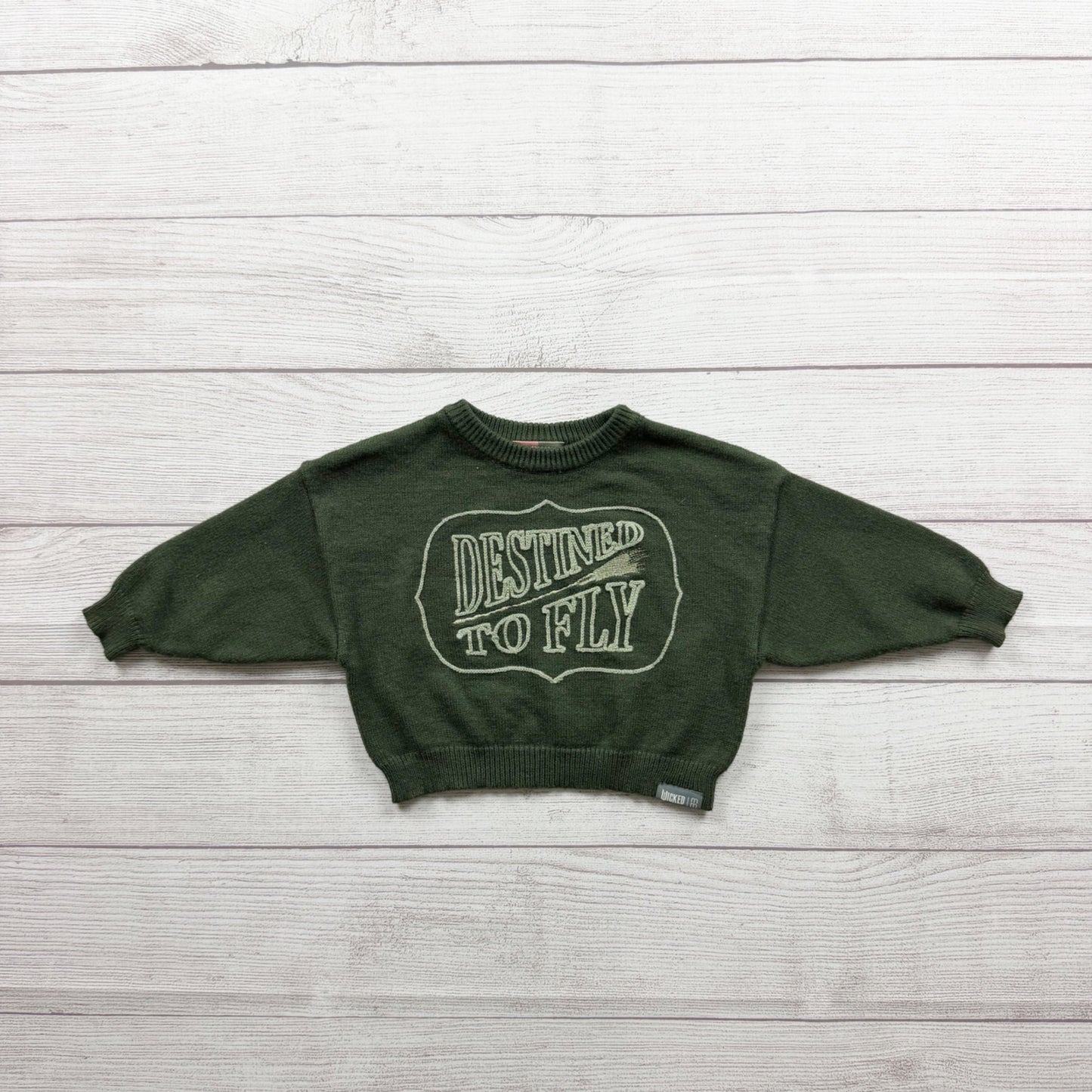 Wicked Universal Destined To Fly Toddler Green Crewneck Sweater 9-12 Months