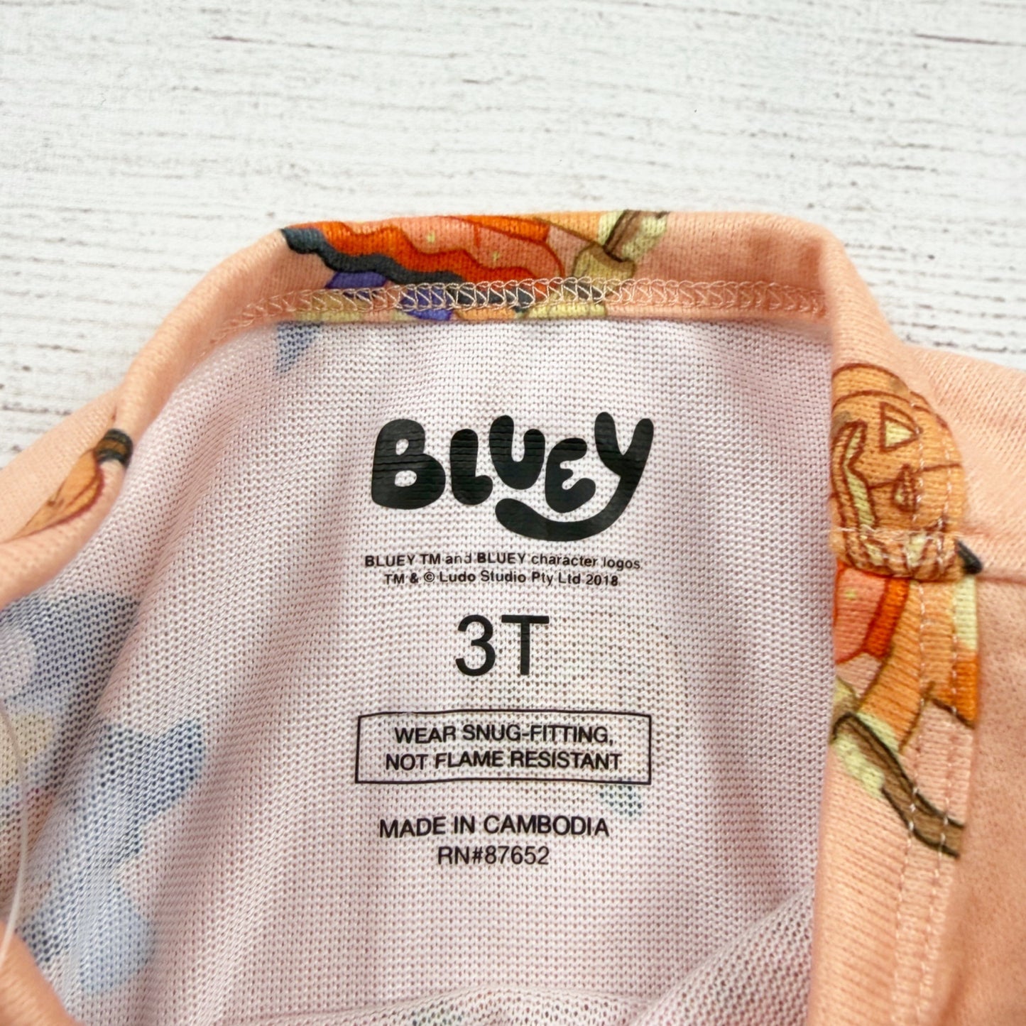 Bluey Toddler 2 Piece Pajama Set Halloween Print Long Sleeve Pants NWT 3T
