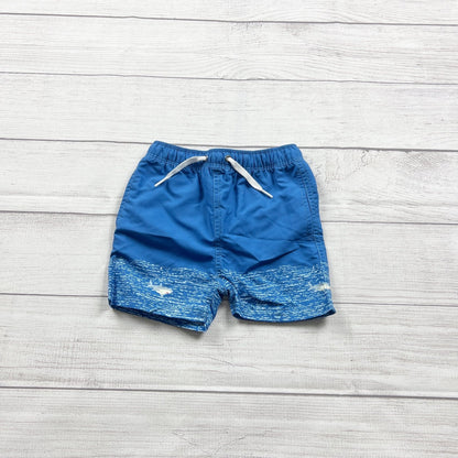 2T | Swim Shorts