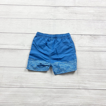 2T | Swim Shorts