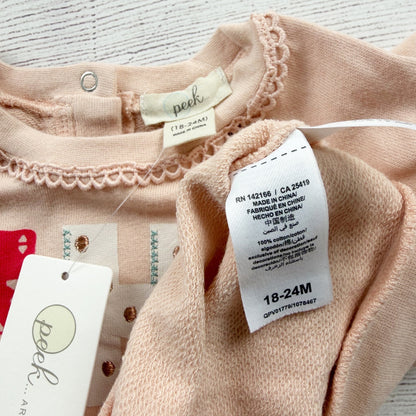 Peek Baby Girl Outfit Set “Shine Like the Sun” Rainbow Tulle NWT 18-24 Months