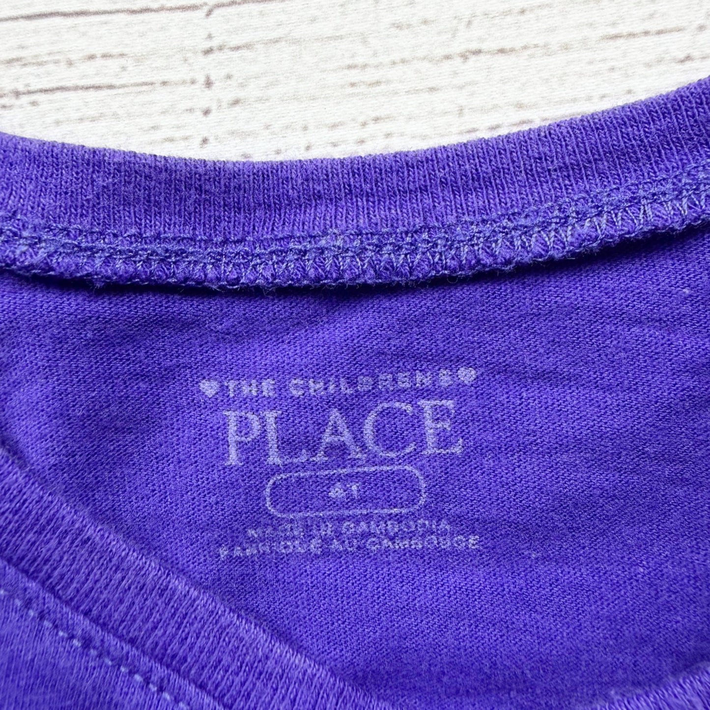 Children’s Place Girls Long Sleeve Purple Dinosaur Graphic Tee 4T
