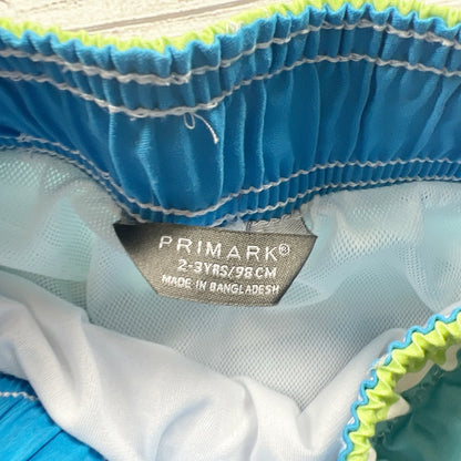 2-3 | Swim Shorts