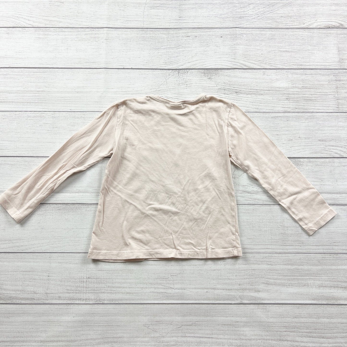 Zara Girls Long Sleeve Graphic Tee Flower Print Shirt 6-7