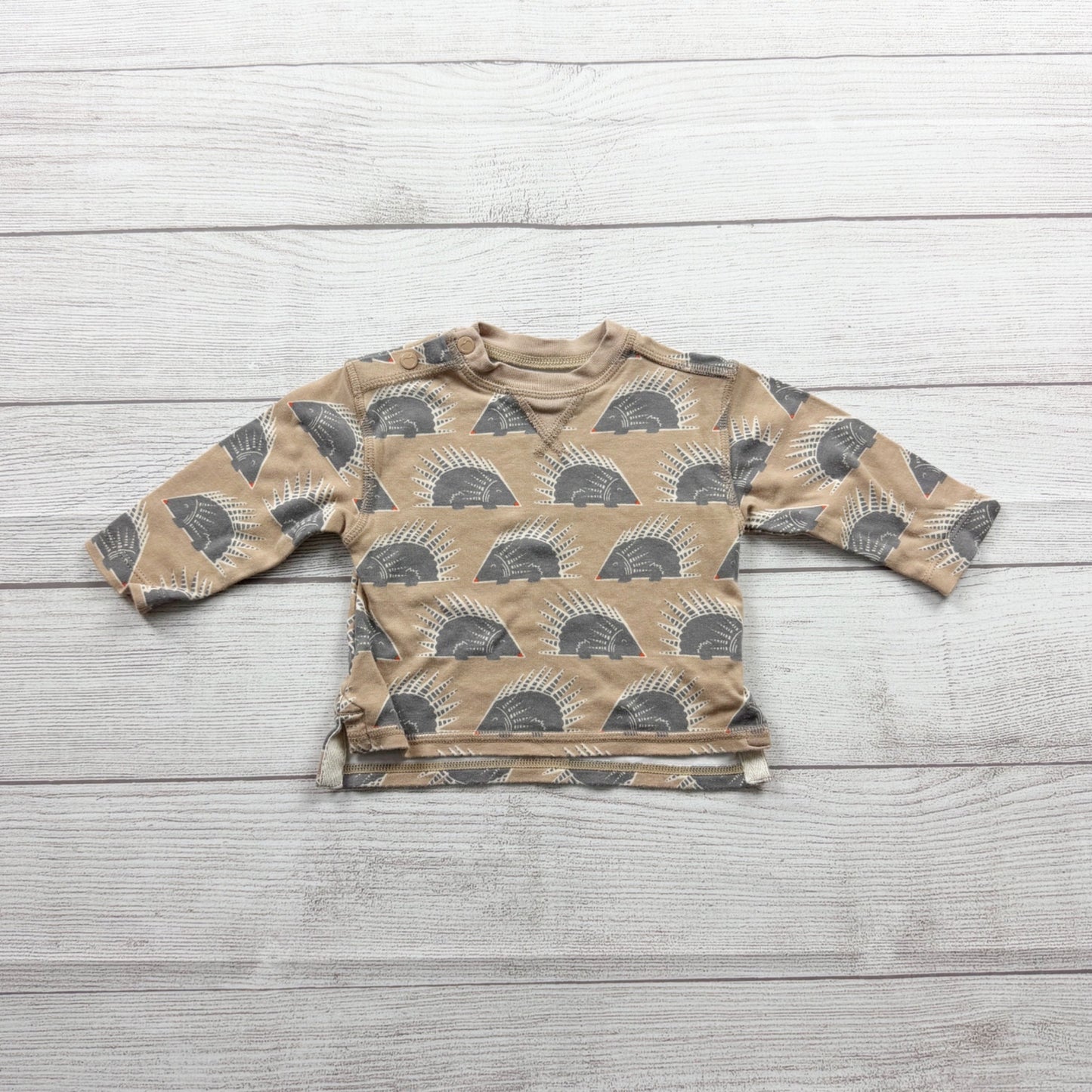 Apple Park Toddler Organic Bamboo-Cotton Top Hedgehog Print Shirt 12-18 Months
